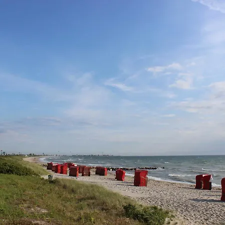 Nyaraló Seeschwalbe